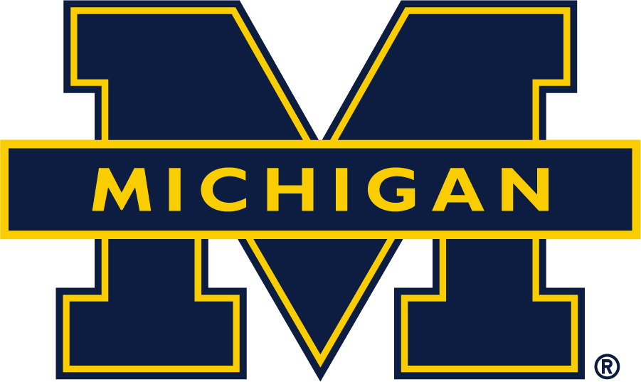Michigan Wolverines 1994-2016 Alternate Logo t shirts iron on transfers